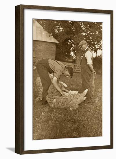 Sheep Shearing First Prize Winners, Devon, 1938-null-Framed Photographic Print