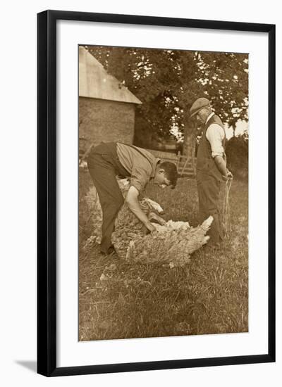 Sheep Shearing First Prize Winners, Devon, 1938-null-Framed Photographic Print