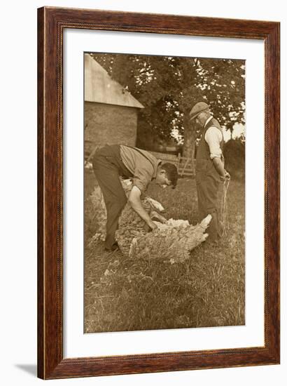 Sheep Shearing First Prize Winners, Devon, 1938-null-Framed Photographic Print