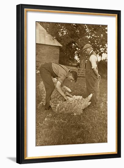 Sheep Shearing First Prize Winners, Devon, 1938-null-Framed Photographic Print