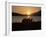 Sheep Silhouetted Against the Midnight Sun, Astafjorden, Troms, Norway, Scandinavia, Europe-Jochen Schlenker-Framed Photographic Print