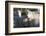 Sheep, Snowdonia, Wales, UK-Peter Adams-Framed Photographic Print