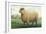 Sheep, Southdown Wether-null-Framed Art Print