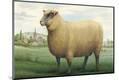 Premium Giclee Print