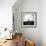 Sheep Standing on Hill Looking Down, Taransay, Outer Hebrides, Scotland, UK-Lee Frost-Framed Photographic Print displayed on a wall