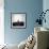 Sheep Standing on Hill Looking Down, Taransay, Outer Hebrides, Scotland, UK-Lee Frost-Framed Photographic Print displayed on a wall