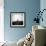 Sheep Standing on Hill Looking Down, Taransay, Outer Hebrides, Scotland, UK-Lee Frost-Framed Photographic Print displayed on a wall