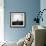 Sheep Standing on Hill Looking Down, Taransay, Outer Hebrides, Scotland, UK-Lee Frost-Framed Photographic Print displayed on a wall