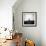 Sheep Standing on Hill Looking Down, Taransay, Outer Hebrides, Scotland, UK-Lee Frost-Framed Photographic Print displayed on a wall