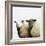 Sheep Standing Side by Side-Adrian Burke-Framed Giclee Print