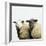 Sheep Standing Side by Side-Adrian Burke-Framed Giclee Print