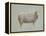 Sheep Strut III-null-Framed Stretched Canvas