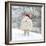 Sheep Texel Ewe in Snow Wearing Christmas Hat-null-Framed Photographic Print