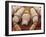 Sheep Tick, SEM-Steve Gschmeissner-Framed Photographic Print