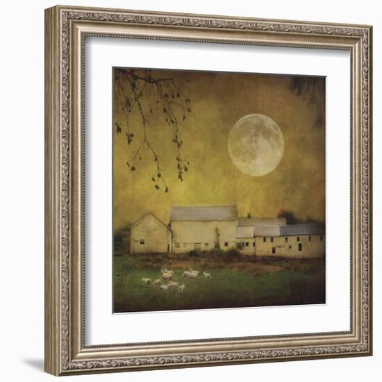 Sheep Under a Harvest Moon-Dawne Polis-Framed Giclee Print