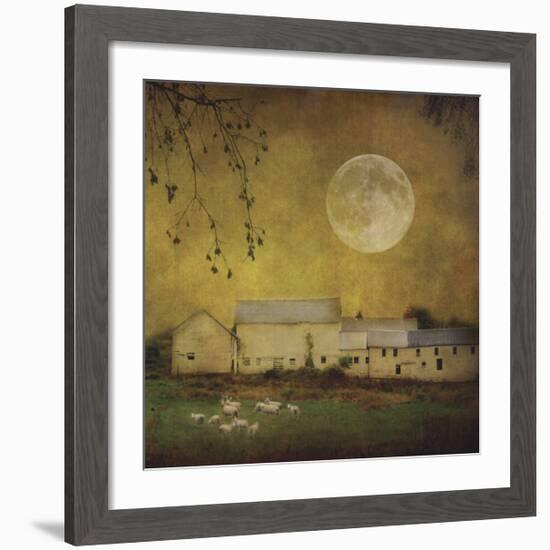 Sheep Under a Harvest Moon-Dawne Polis-Framed Giclee Print