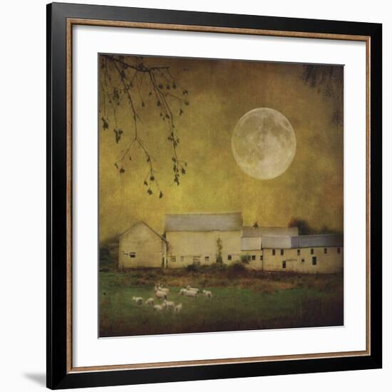 Sheep Under a Harvest Moon-Dawne Polis-Framed Giclee Print