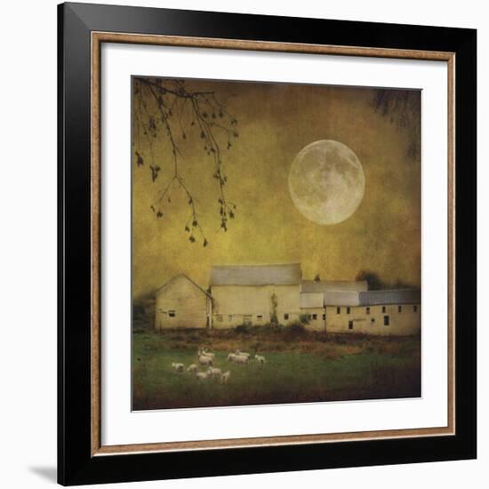 Sheep Under a Harvest Moon-Dawne Polis-Framed Giclee Print