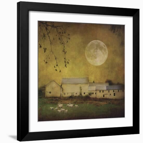 Sheep Under a Harvest Moon-Dawne Polis-Framed Giclee Print