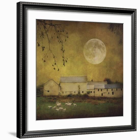 Sheep Under a Harvest Moon-Dawne Polis-Framed Giclee Print