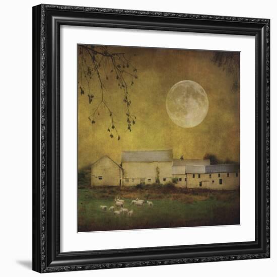 Sheep Under a Harvest Moon-Dawne Polis-Framed Giclee Print