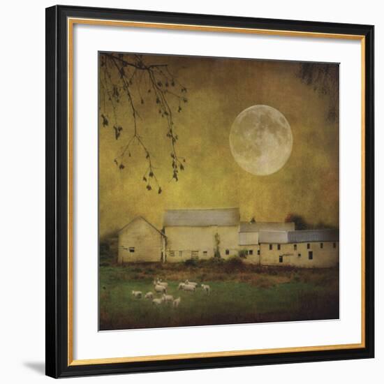 Sheep Under a Harvest Moon-Dawne Polis-Framed Giclee Print