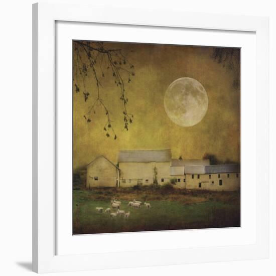 Sheep Under a Harvest Moon-Dawne Polis-Framed Giclee Print