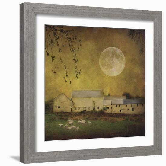 Sheep Under a Harvest Moon-Dawne Polis-Framed Art Print