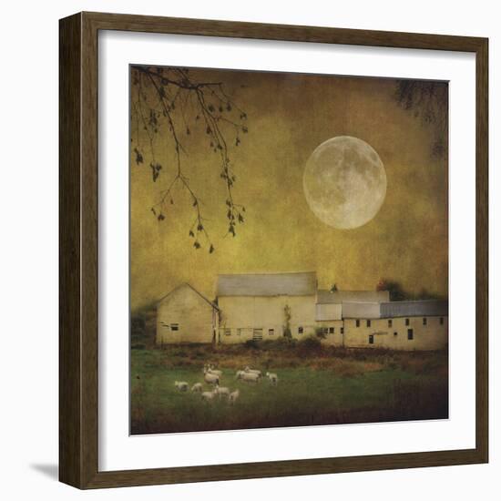 Sheep Under a Harvest Moon-Dawne Polis-Framed Art Print