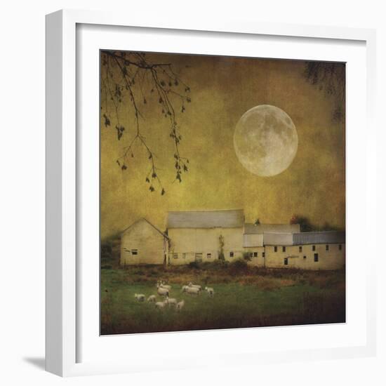 Sheep Under a Harvest Moon-Dawne Polis-Framed Art Print