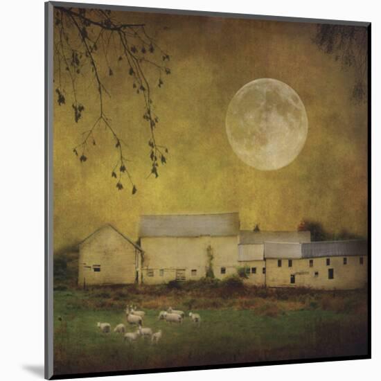 Sheep Under a Harvest Moon-Dawne Polis-Mounted Art Print