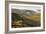 Sheep, valley with temperature inversion fog, Stanage Edge, Peak District Nat'l Park, England-Eleanor Scriven-Framed Photographic Print