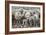 Sheep Waiting to Be Shorn at Long Island Sheep Farms, Outside Stanley, Falkland Islands-Michael Nolan-Framed Photographic Print