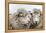 Sheep Waiting to Be Shorn at Long Island Sheep Farms, Outside Stanley, Falkland Islands-Michael Nolan-Framed Premier Image Canvas