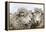 Sheep Waiting to Be Shorn at Long Island Sheep Farms, Outside Stanley, Falkland Islands-Michael Nolan-Framed Premier Image Canvas