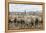 Sheep Waiting to Be Shorn at Long Island Sheep Farms, Outside Stanley, Falkland Islands-Michael Nolan-Framed Premier Image Canvas