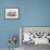 Sheep Waiting to Be Shorn at Long Island Sheep Farms, Outside Stanley, Falkland Islands-Michael Nolan-Framed Photographic Print displayed on a wall