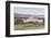 Sheep Waiting to Be Shorn at Long Island Sheep Farms, Outside Stanley, Falkland Islands-Michael Nolan-Framed Photographic Print