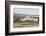 Sheep Waiting to Be Shorn at Long Island Sheep Farms, Outside Stanley, Falkland Islands-Michael Nolan-Framed Photographic Print