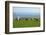 Sheep with Cuckmere Haven in the Background, East Sussex, England, United Kingdom, Europe-Neil Farrin-Framed Photographic Print