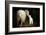 Sheep With Lamb in a Barn-null-Framed Art Print