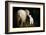 Sheep With Lamb in a Barn-null-Framed Art Print