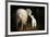 Sheep With Lamb in a Barn-null-Framed Art Print