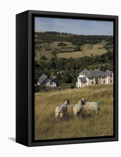 Sheep, Woodmancote Village Viewed from Cleeve Hill, the Cotswolds, Gloucestershire, England-David Hughes-Framed Premier Image Canvas