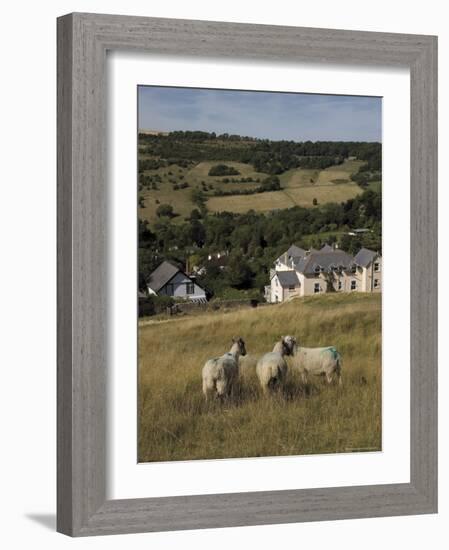 Sheep, Woodmancote Village Viewed from Cleeve Hill, the Cotswolds, Gloucestershire, England-David Hughes-Framed Photographic Print