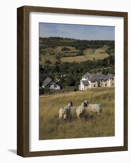 Sheep, Woodmancote Village Viewed from Cleeve Hill, the Cotswolds, Gloucestershire, England-David Hughes-Framed Photographic Print