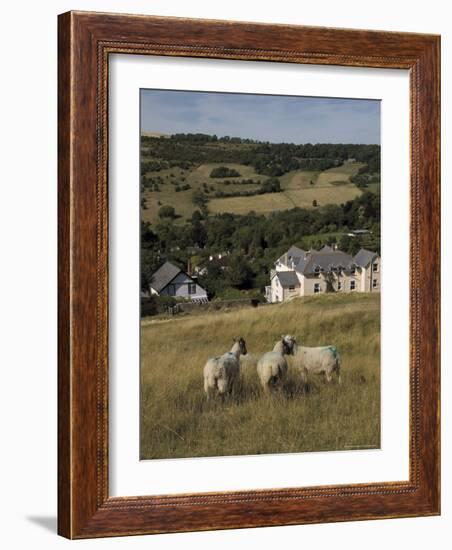 Sheep, Woodmancote Village Viewed from Cleeve Hill, the Cotswolds, Gloucestershire, England-David Hughes-Framed Photographic Print