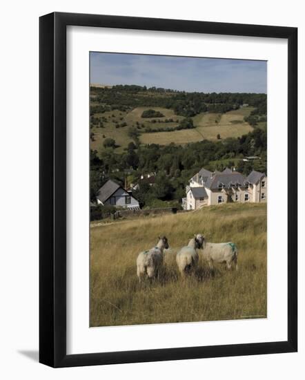 Sheep, Woodmancote Village Viewed from Cleeve Hill, the Cotswolds, Gloucestershire, England-David Hughes-Framed Photographic Print