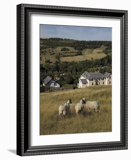Sheep, Woodmancote Village Viewed from Cleeve Hill, the Cotswolds, Gloucestershire, England-David Hughes-Framed Photographic Print