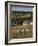 Sheep, Woodmancote Village Viewed from Cleeve Hill, the Cotswolds, Gloucestershire, England-David Hughes-Framed Photographic Print